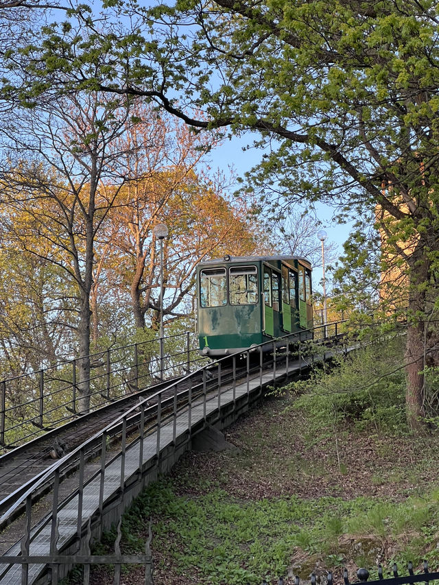 Skansen Visitor Guide – Stockholm, Sweden