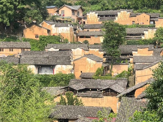 去咗4次楊家堂村，終於玩到明晒！
