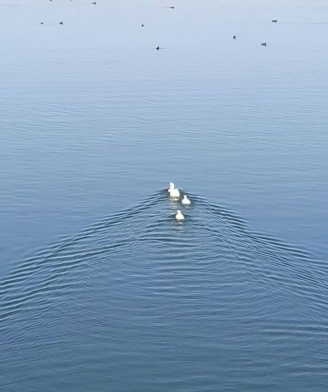 昆明池水漾星辰，漢唐風月浸羅裙