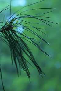 雨後獨享天壇秘境