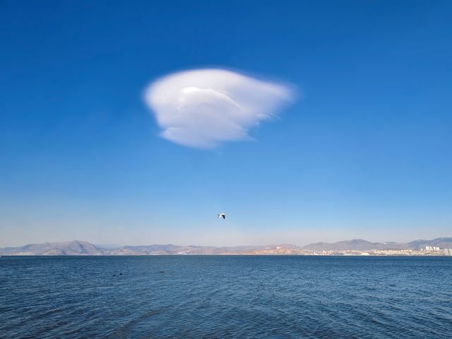 洱海邊遊玩 洱海邊遊玩