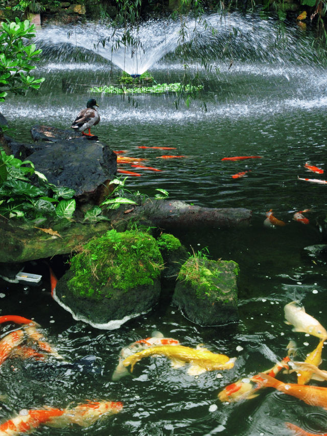 廣州周邊遊直達 | 順德清暉園美食一日遊