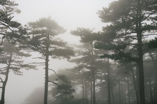 廬山三日：中高強度徒步登山東西線