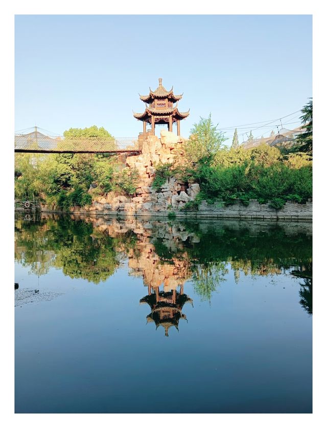 漯河神州鳥園秋季夜遊:暢遊鳥類王國，體驗夜間奇幻之旅！