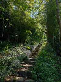 徒步吸氧，馬嶺古道走一走