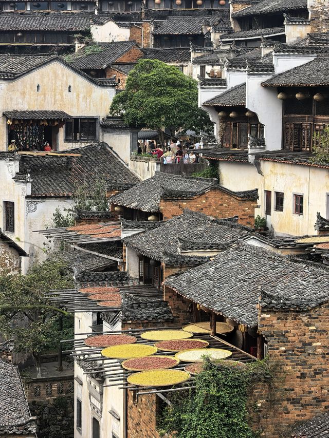 婺源攻略｜住在婺女洲旁，我找到了懶人出遊