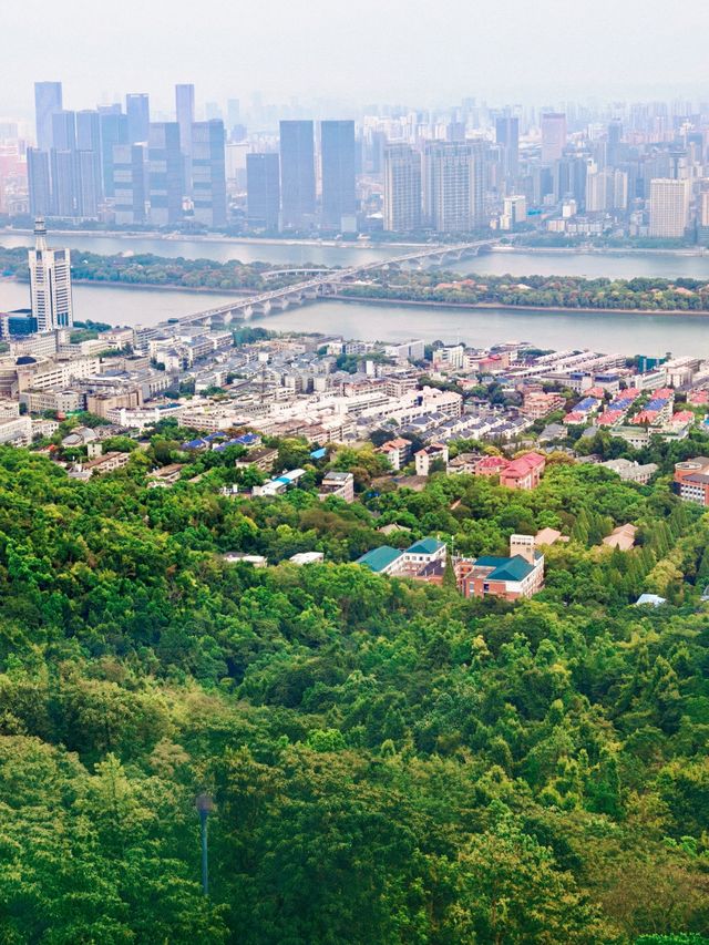 帶小學課本爬嶽麓山，在愛晚亭讀懂了楓林晚
