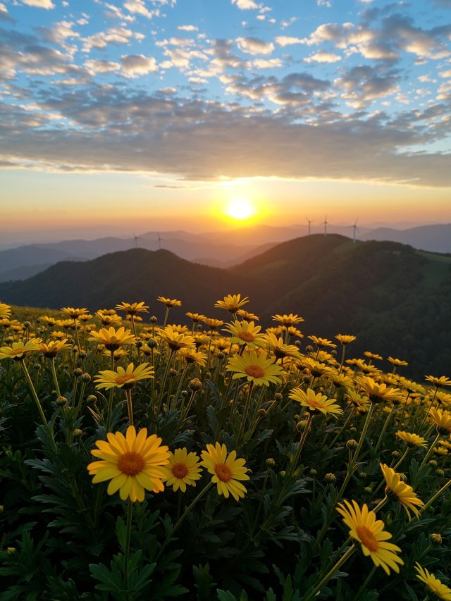 絕美相公山打卡指南