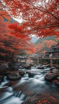 ：「阜平深秋暴擊！太行山私藏的“紅葉炸彈”終於藏不住了！
