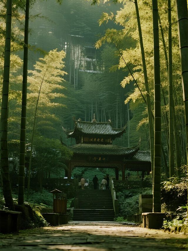 蜀南竹海一日遊攻略不費腿的精華路線