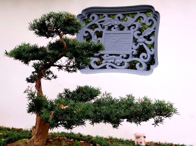 避開人潮|上海五大園林之古猗園 避開人潮|上海五大園林之古猗園