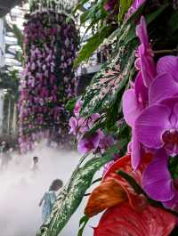 上海世博文化公園溫室花園超全攻略