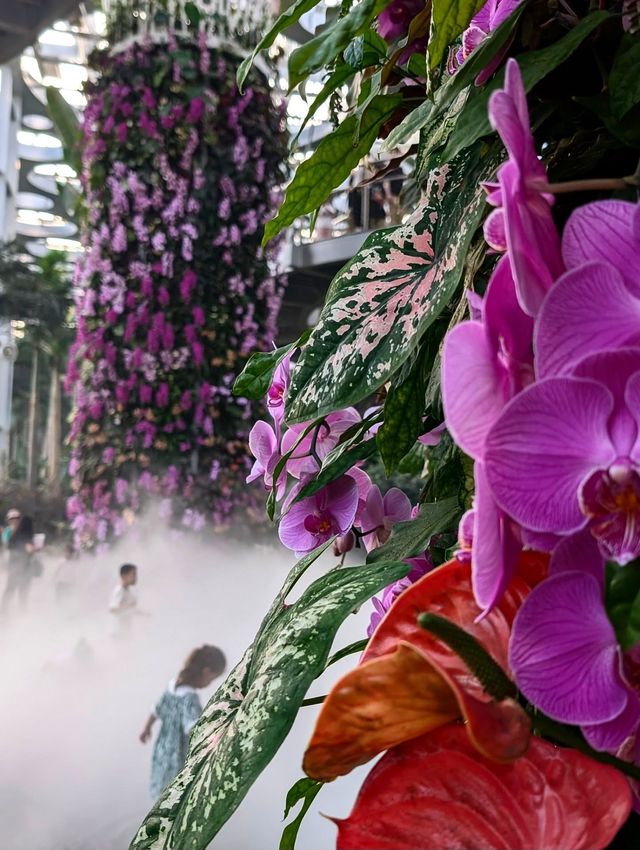 上海世博文化公園溫室花園超全攻略