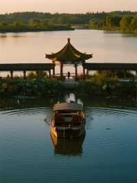 淄博週末遛娃！免費荷塘+蘆葦蕩太治癒啦～🪷