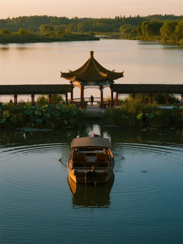 淄博週末遛娃！免費荷塘+蘆葦蕩太治癒啦～🪷