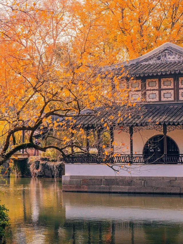 蘇州的秋天,堪稱中式美學天花板!! 蘇州的秋天,堪稱中式美學天花板!!