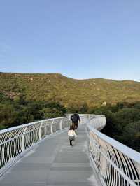 金灣木頭沖|走進童話世界