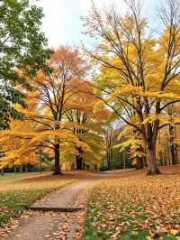 千年西安的秋日震撼到失語