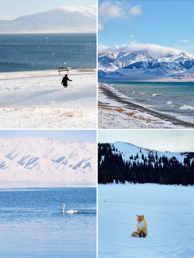 冬季伊犁|闖入冰雪仙境,享野奢之旅 冬季伊犁|闖入冰雪仙境,享野奢之旅