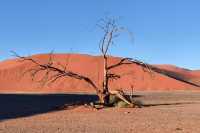 秋天納米比亞等多國連遊超全攻略