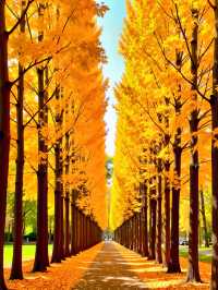 甘肅私藏！天水才是絲路真寶藏，彩林+千年人文美到失語