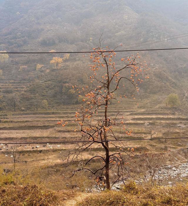 南太行秋日徒步