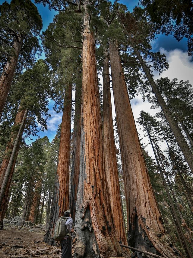 玩轉澳新12日保姆級攻略呈上