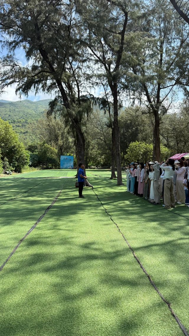 假期反向遊：藏在深圳海岸的「聖象天門」，人少景絕超出片