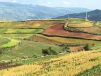 油菜花海徒步攻略