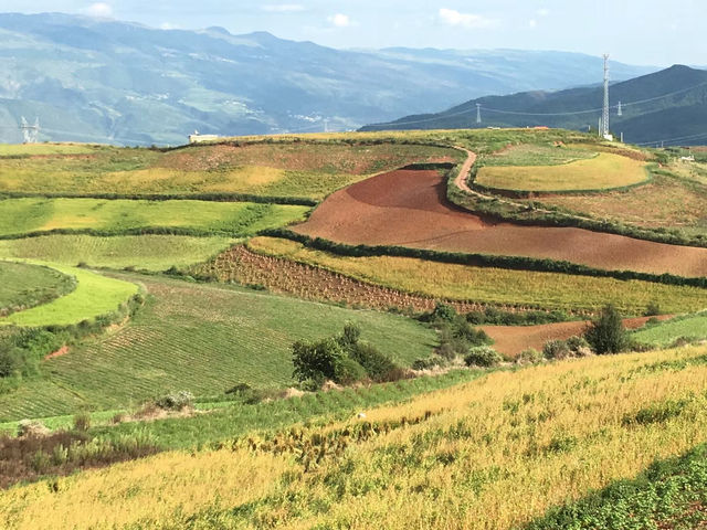油菜花海徒步攻略