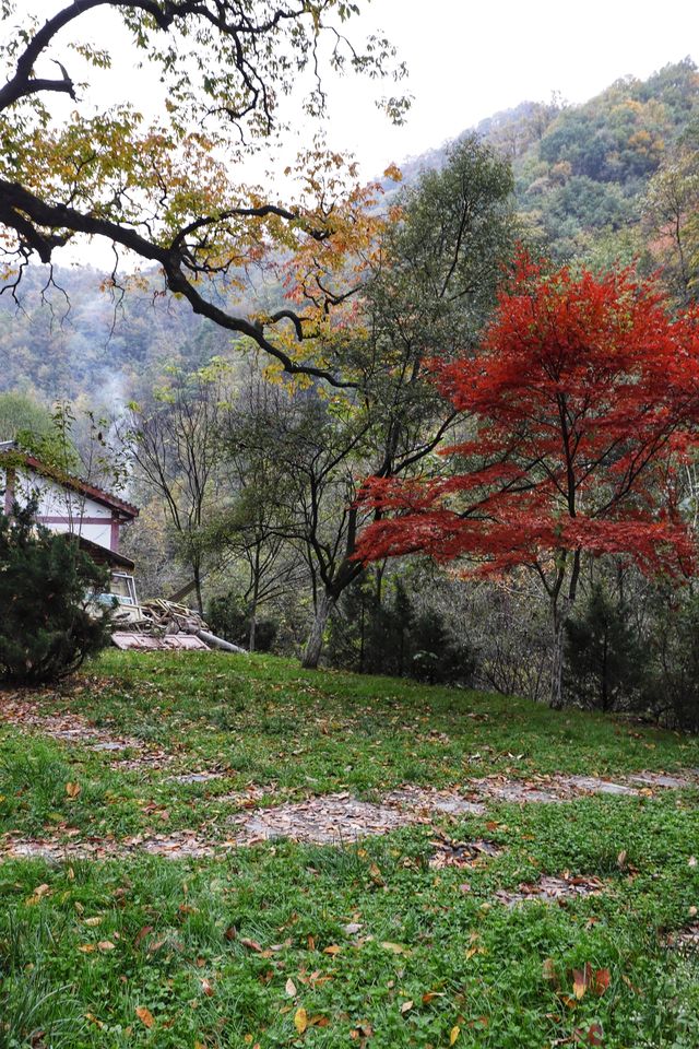 秦嶺留壩環線之情人谷