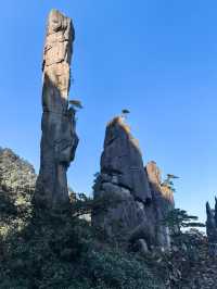 聽我的，不費腿看美景