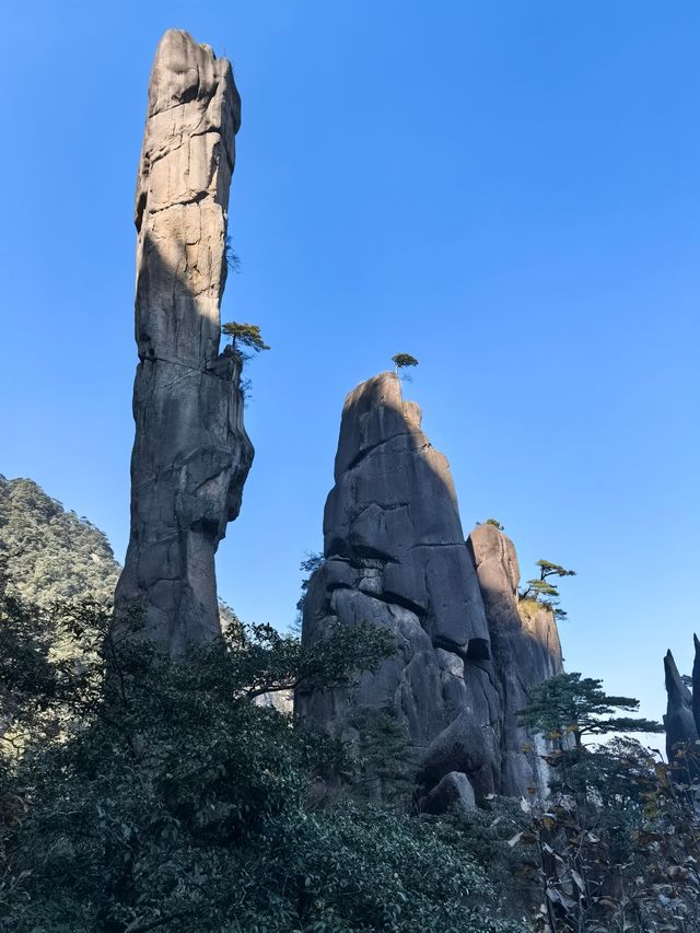 聽我的，不費腿看美景