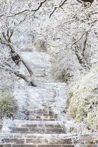 24年千佛山下雪後美哭了！絕美霧淞仙境快來打卡