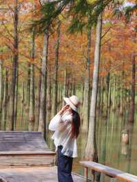 對不起,之前的宿遷洪澤湖攻略都過時了!