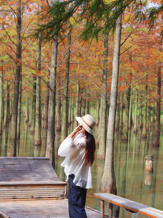 對不起,之前的宿遷洪澤湖攻略都過時了! 對不起,之前的宿遷洪澤湖攻略都過時了!