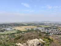 挖到一條寶藏秋遊採橘子路線！