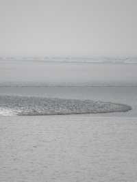 是小學課本上的海寧鹽官錢塘江觀潮