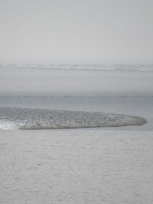是小學課本上的海寧鹽官錢塘江觀潮