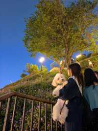 深圳 - 釜山同款海邊膠囊小火車