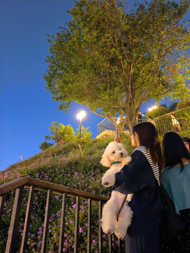 深圳 - 釜山同款海邊膠囊小火車