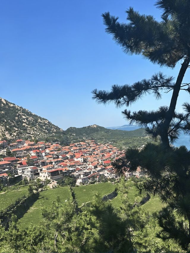 1天青島包車遊打卡熱門景點攻略