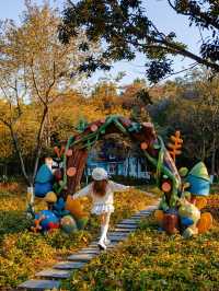 宜興這的秋天 建議去這裡