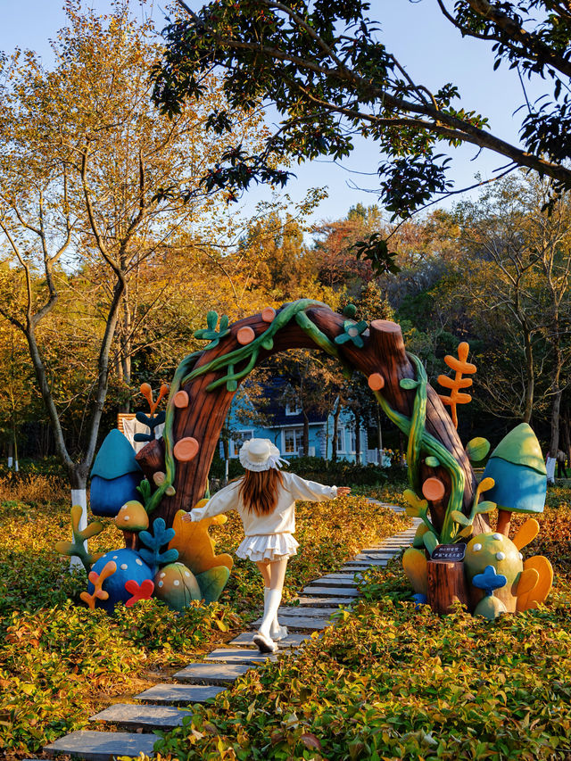 宜興這的秋天 建議去這裡