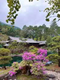 這是我花5蚊雞就能看到的景色？！？！