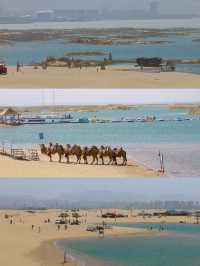 烏海湖最新保姆級遊玩攻略