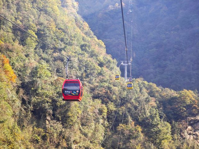 雲霧繚繞龍頭山