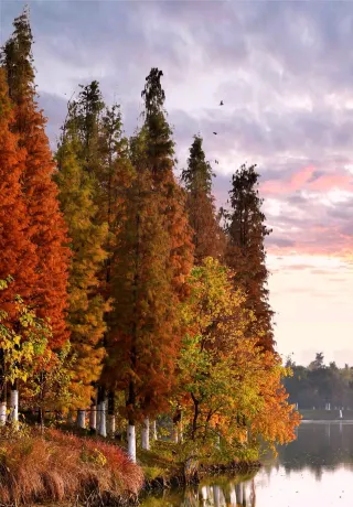Получите бесплатное руководство по наслаждению золотыми осенними лесами озера Айси, включающее помощь с определением местоположения.