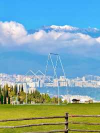 11.26實況!大理最美雪山機位被我找到啦