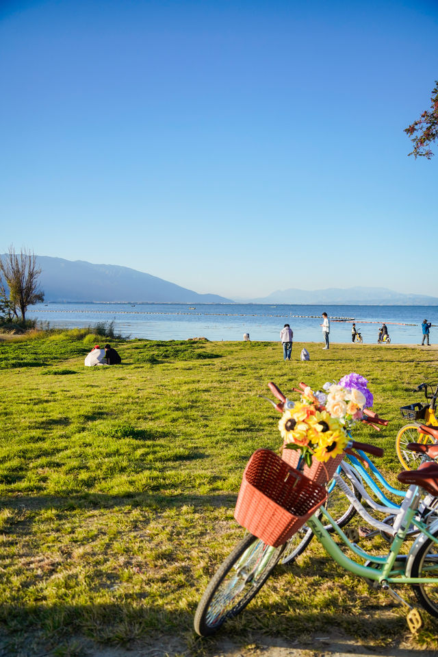 大理4天3晚遊，說說我的真實感受和建議